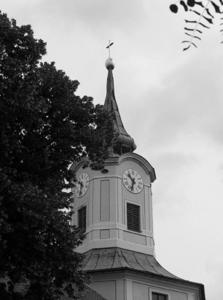 101_1738 Kopie.jpg